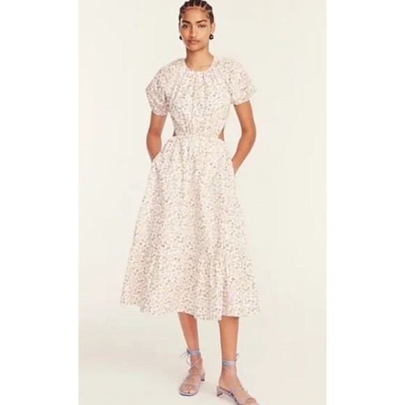J. Crew Side-Cutout Cotton Poplin Dress Meadow Floral Size 10 - Picture 2 of 11